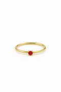 ❄️ BIRTHSTONE RING JANUARY – DEEP RED